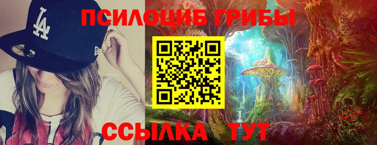 Галлюциногенные грибы Cubensis  Псилоцибиновые грибы прущие грибы  Усть-Джегута  Вход с VPN 